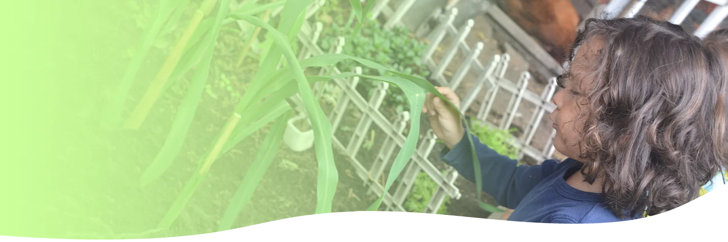 Colegio JSS Colegio Josefina Sandoval Sevilla