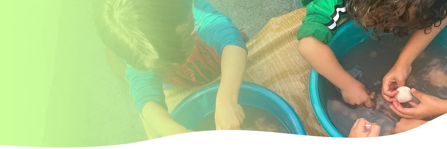 Colegio JSS Colegio Josefina Sandoval Sevilla