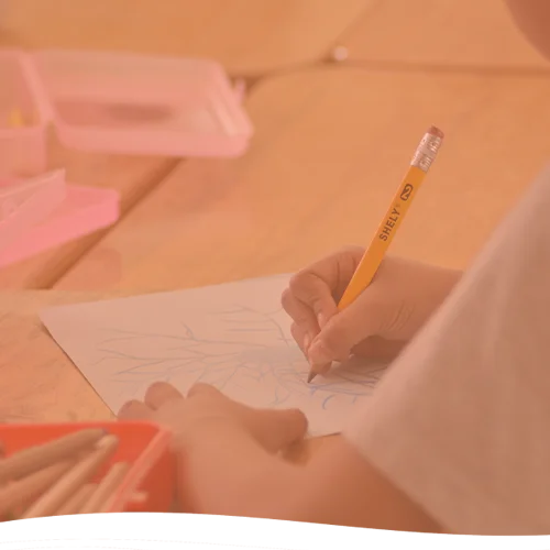 Colegio JSS Colegio Josefina Sandoval Sevilla